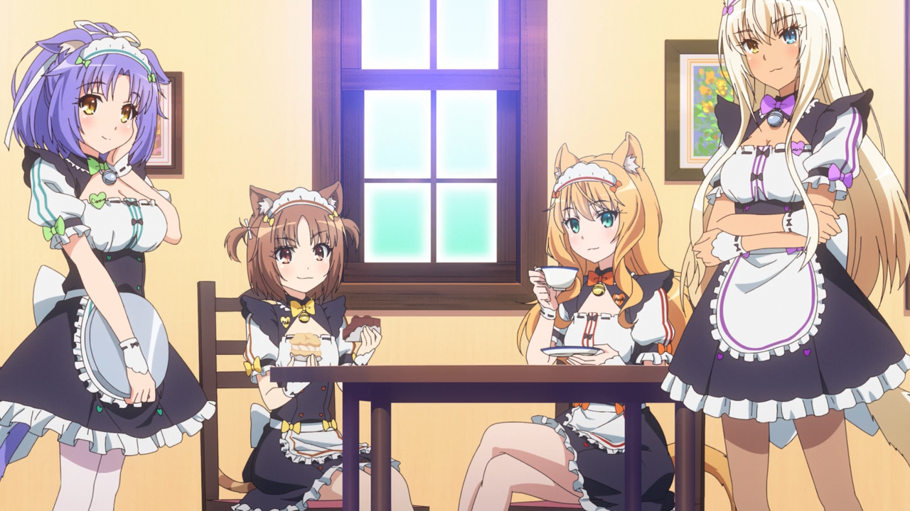 Nekopara (Yoru no Kousen)